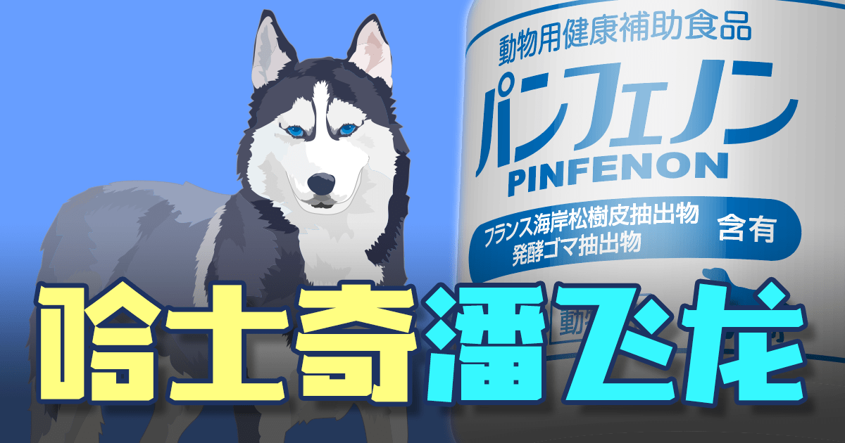 【哈士奇】从两次呼吸停止中复活!缩略图 哈士奇