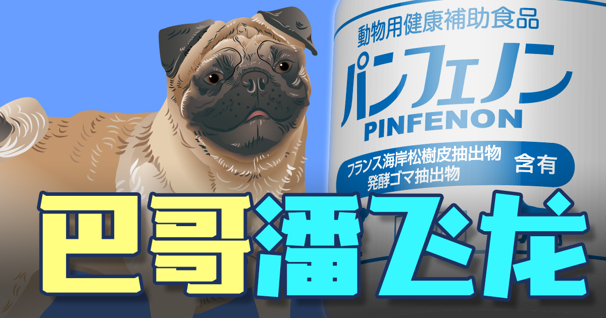 巴哥 潘飞龙