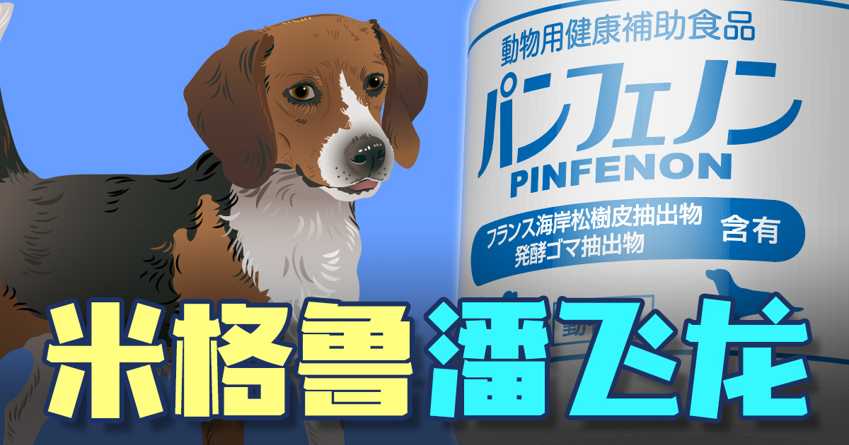 米格鲁 潘飞龙