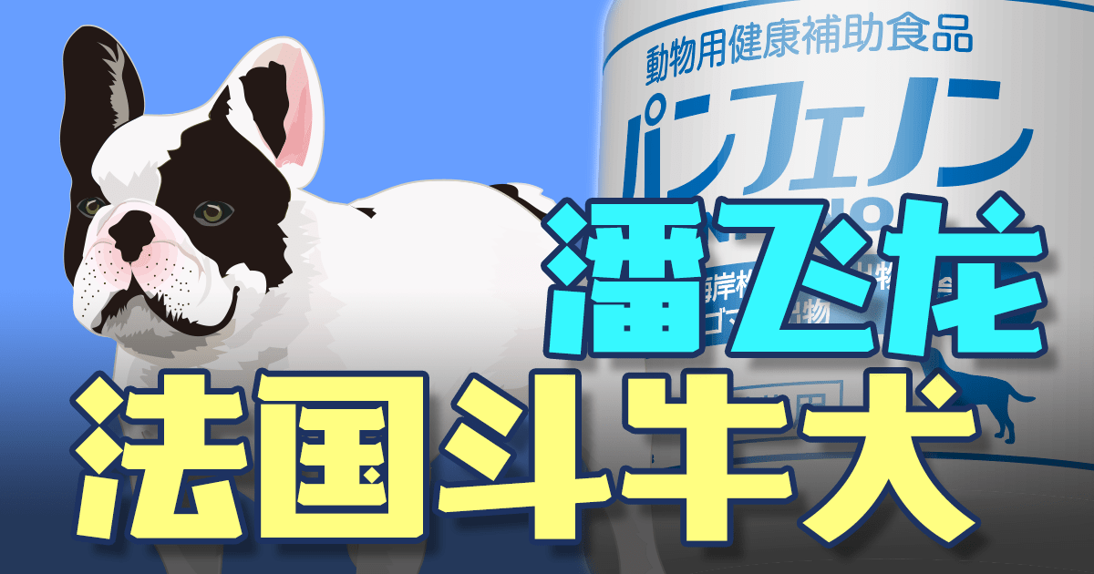 法国斗牛犬