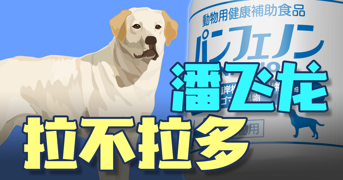拉不拉多