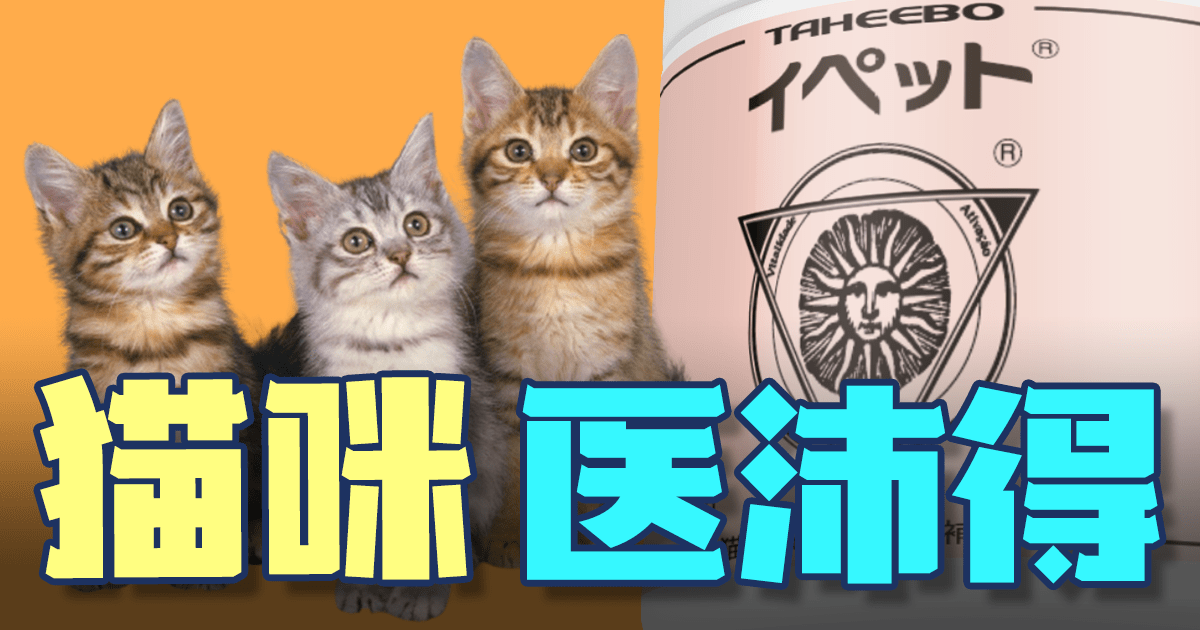 猫咪 医沛得