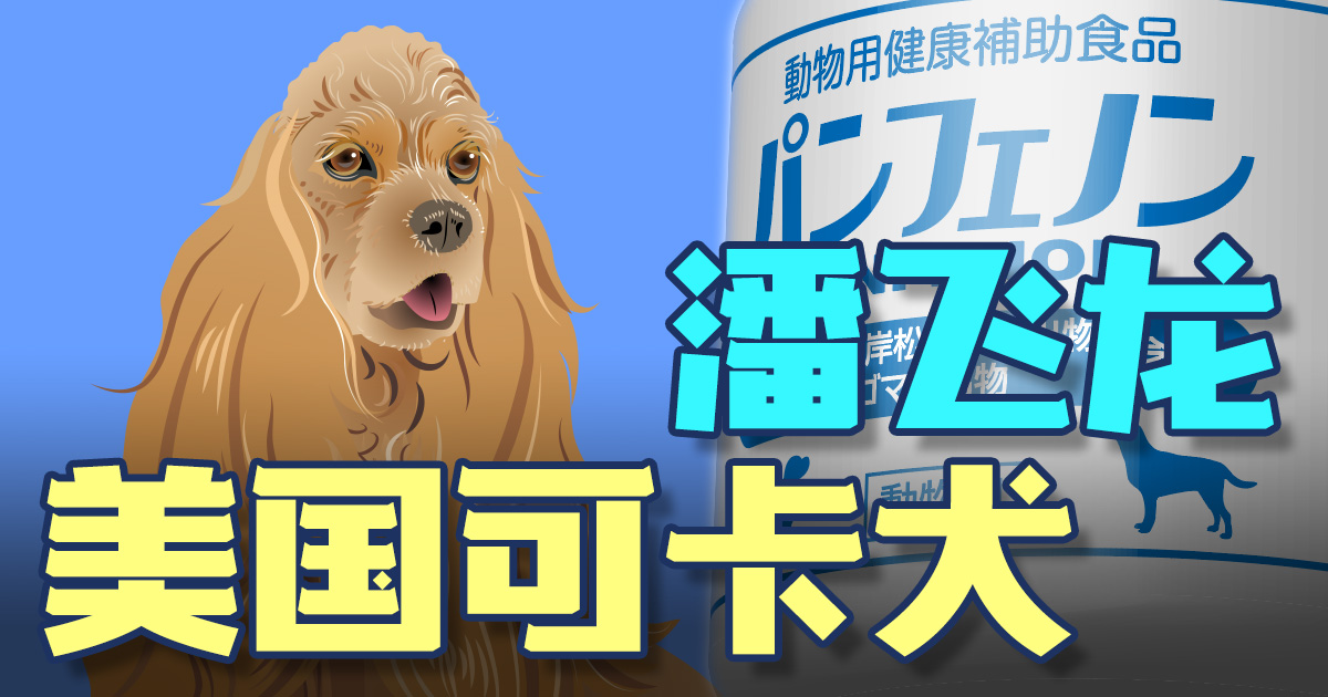 【美国可卡犬】从关节炎恢复!缩略图 【美国可卡犬】从关节炎恢复!缩略图